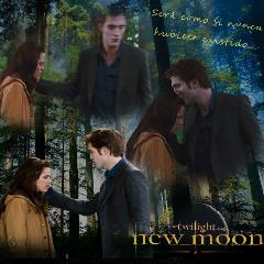 Fans Poster de New moon