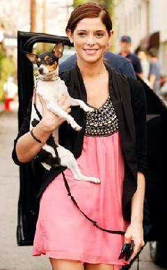 Q&A: El Estilo de Ashley Greene